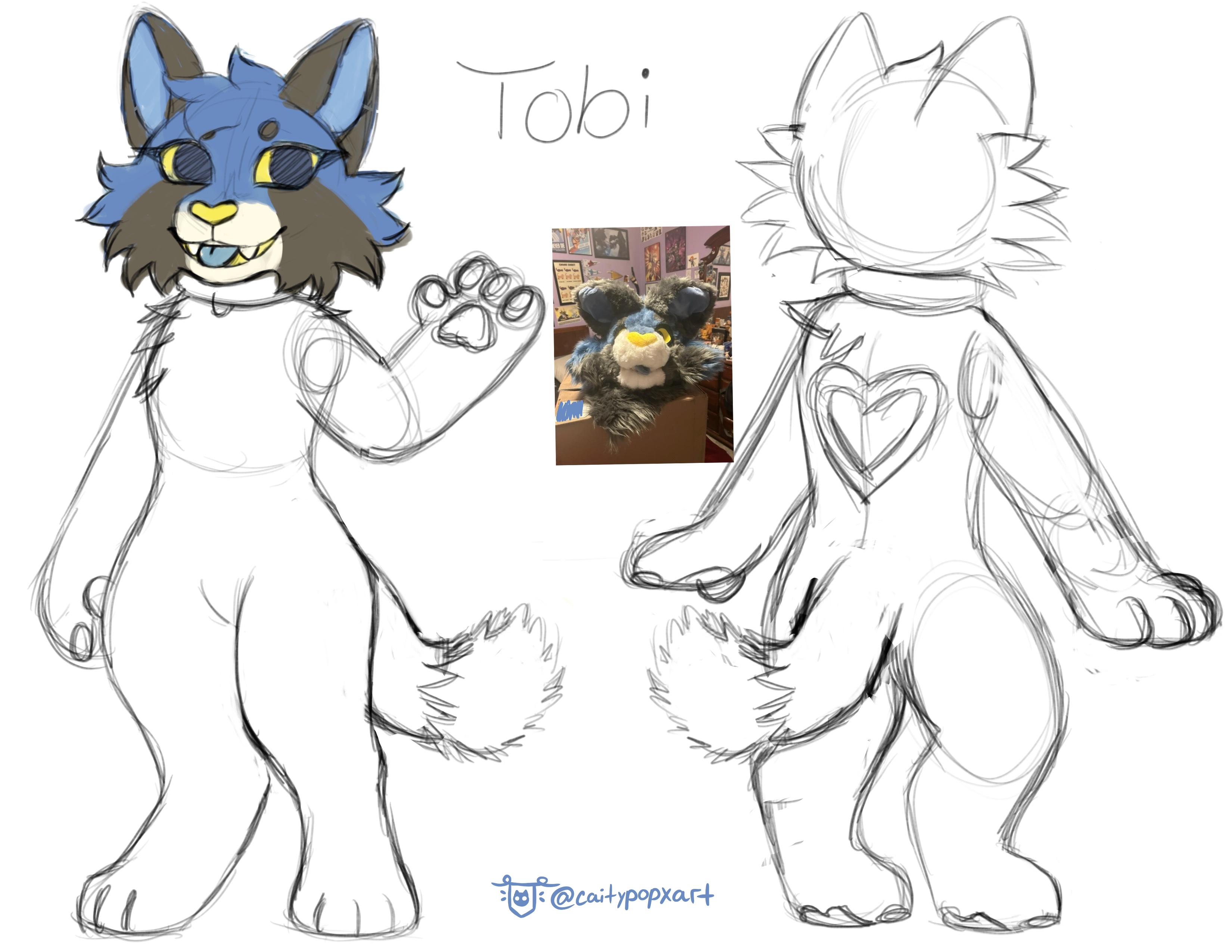 commission 1